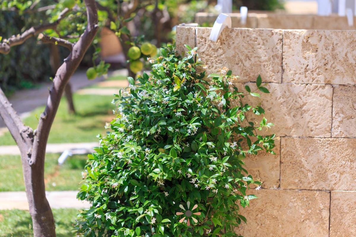 Agriturismo Tenuta Margherita Torre Lapillo Εξωτερικό φωτογραφία