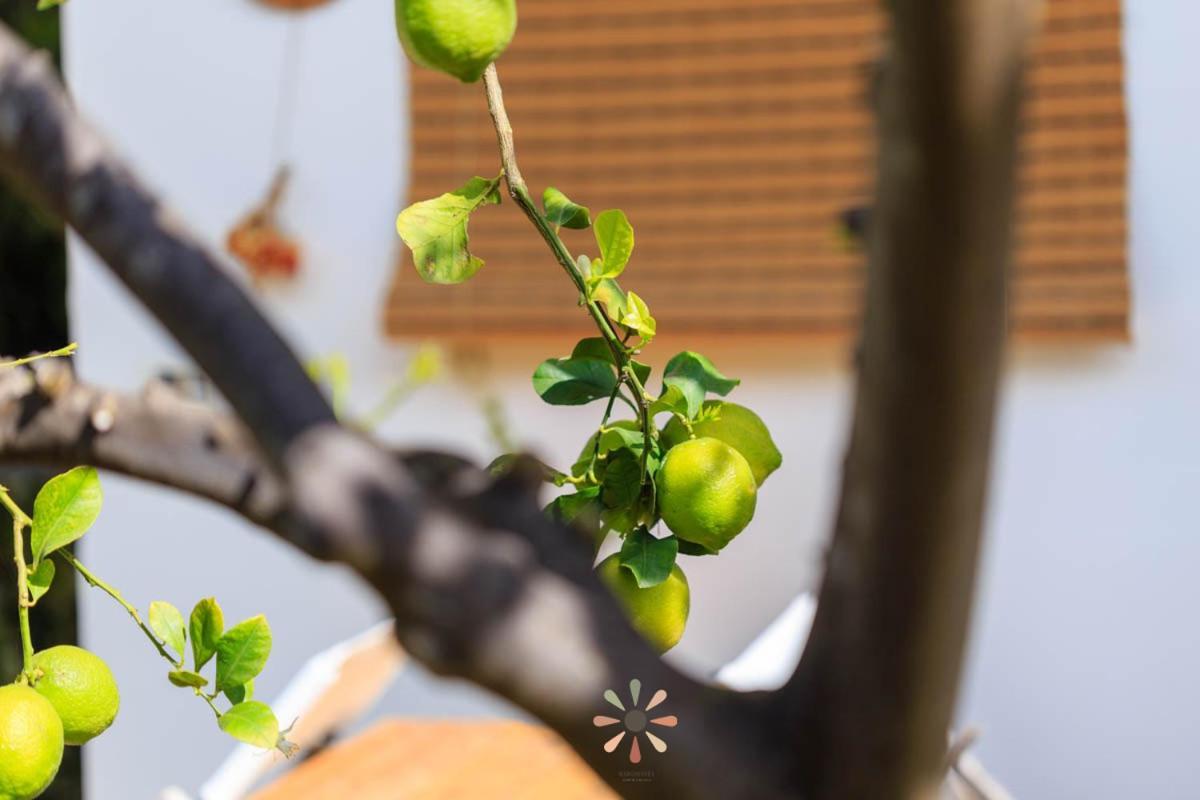 Agriturismo Tenuta Margherita Torre Lapillo Εξωτερικό φωτογραφία