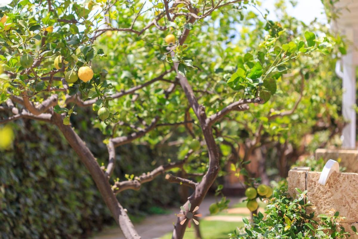 Agriturismo Tenuta Margherita Torre Lapillo Εξωτερικό φωτογραφία