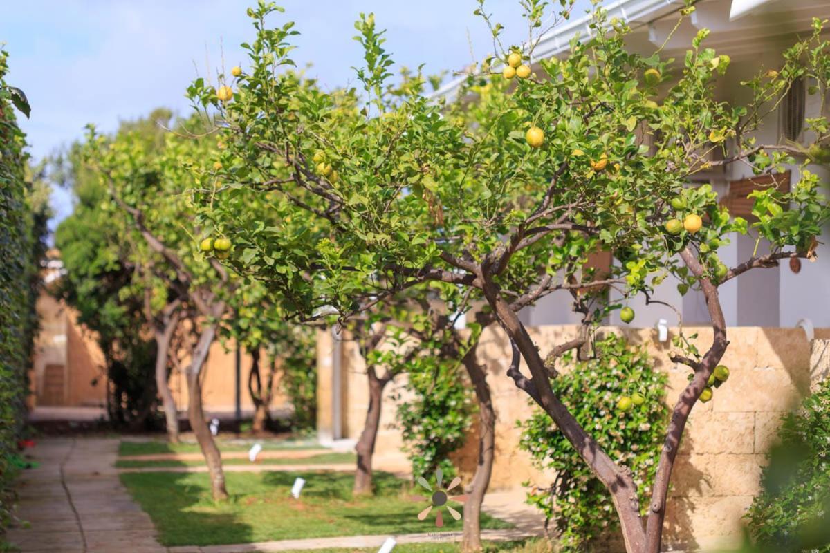 Agriturismo Tenuta Margherita Torre Lapillo Εξωτερικό φωτογραφία